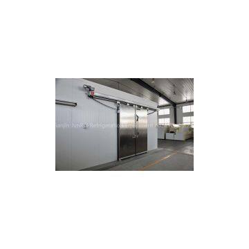 Automatic（ordinary electrical motor）cold room door, refrigeration storage door