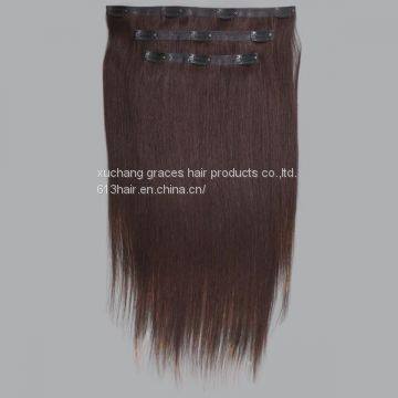 Clip In Remy Human Extensions