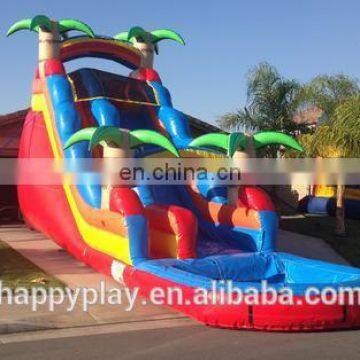 Professional giant slide for sale,inflatable water slide,giant inflatable water slide for adult with high quality