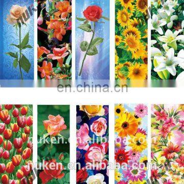 2D to 3D Lenticular Pictures Designing Service photo-3