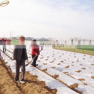 PE Agricultural Black and Silver Mulch Film