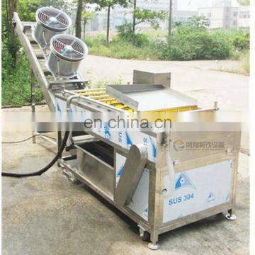 Industrial Spray-type Fruit and Vegetable Washing Drying Machine,Strawberry Washing, Tomato Drying Machine photo-7