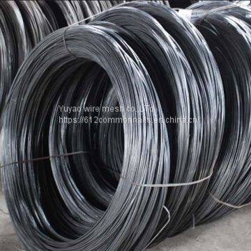 Small Roll Annealed Black Color Wire Binding Wire photo-5