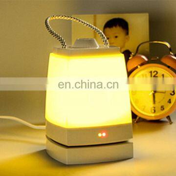 Portable USB Charging Office Home Bedroom Decorative Night Light Led Rechargeable Camping Lantern Desk Lamp for Outdoor