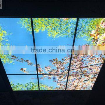 led modern blossom skylight ceiling panel
