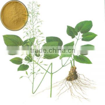 Epimedium Extract / Epimedium P.E