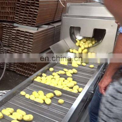 Potato Chips Making Machine Plant Price