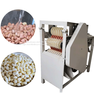 High Efficiency Groundnut Skin Peeling Machine | Wet Peanut Peeling Machine |