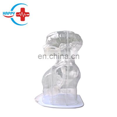 HC-S171 Children Nasogastric feeding tube medical training simulator/Transparent Gastric lavage nursing training manikin