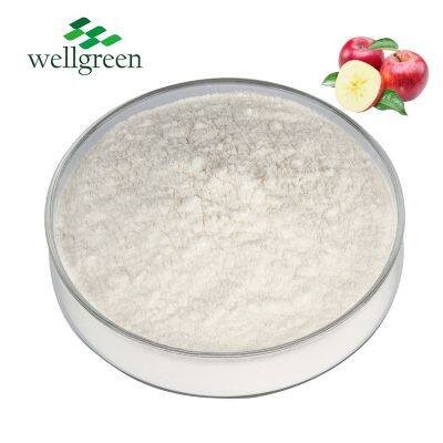 FREE SAMPLE Wellgreen Source Factory Supply Bulk Stock 5% 8% 10% Apple Cider Vinegar Powder