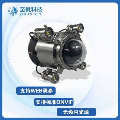 2MP 1080P Underwater Network Camera With Pan-Tilt for Dam Inspection - Waterproof to 100m photo-3