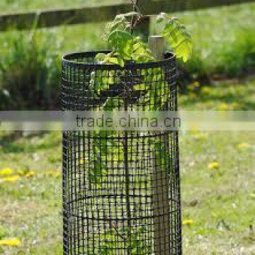 Plastic Mesh Tree guards