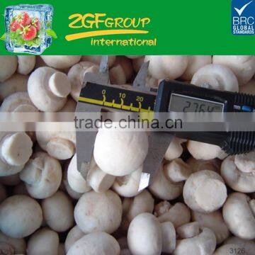 hot sell blanched white bottom mushroom BRC KOSHER ISO supplier