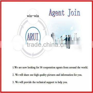 New Creative OEM LOGO Tellurion Globe Metal Keychain photo-4