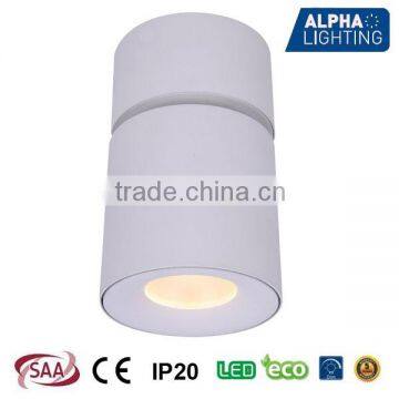 2015 high quality surface mounted led ceiling ligt with led driver