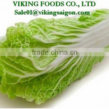 2016 _ Fresh Napa Cabbage _ High Quality