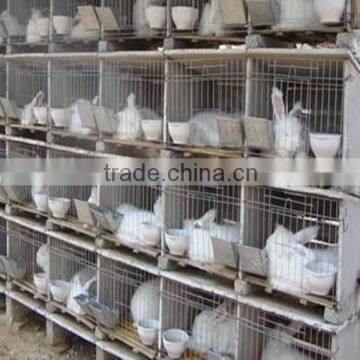 rabbit cages /stainless steel welded wire fence shipping from china