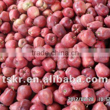 fresh apple fruit huaniu from china