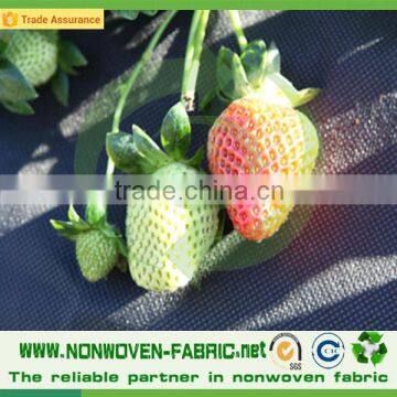 Agriculture Nonwoven Fabric for Weed Control photo-5