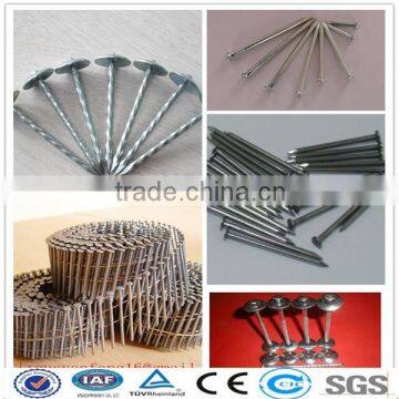 Hot sale Galvanized Roofing Nails