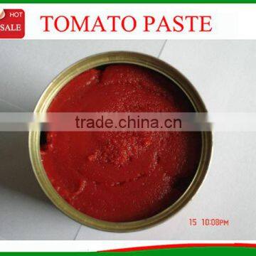 tomato paste brands to africa