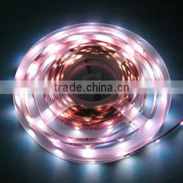 Waterproof IP65 DC12V LED Flexible Strip Light