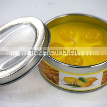 craft candle fruit candle with can