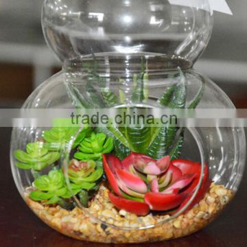 2016 new style Home decor ashtrays indoor glass plant terrarium