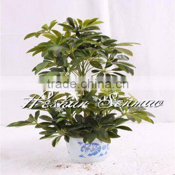 Wholesale High Quality Artificial Small Tree Bonsai for Indoor Outdoor Decoration photo-2