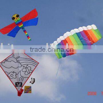 flying kite China kite