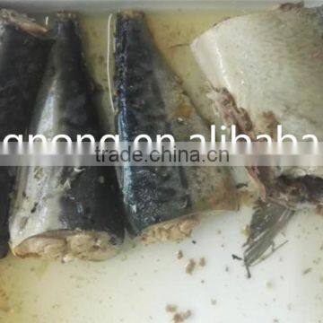 Fresh Fish Canned Jack Mackerel in Brine with Best Quality