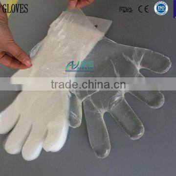 Kitchen Disposable PE Glove With Block photo-4