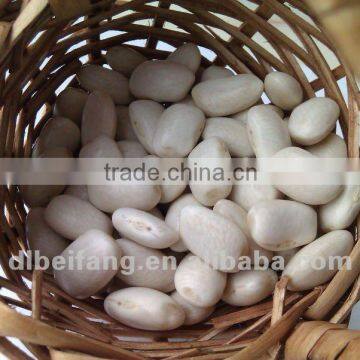 Organic White Kidney Beans( 2011 crop, heilongjiang origin. hps quality)