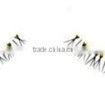False Eyelash