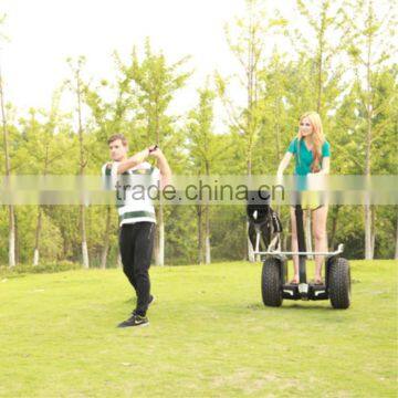 CHIC-GOLF big wheeled balance electric moped