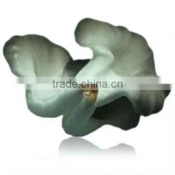 Fake straw mushroom with three head