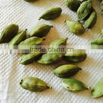 Cardamom photo-2