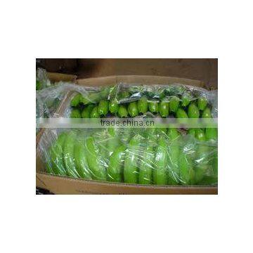 Price of Fresh Cavendish Banana photo-2