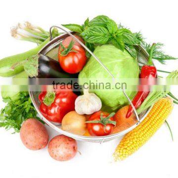 Supply fresh vegetable garlic and potato in china best price and top quality