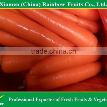 Natural organic fresh red sweet baby carrot price from south of China