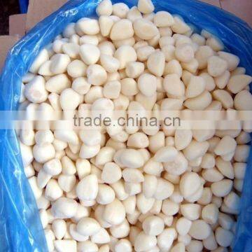 Factory of Frozen Peeled Garlic