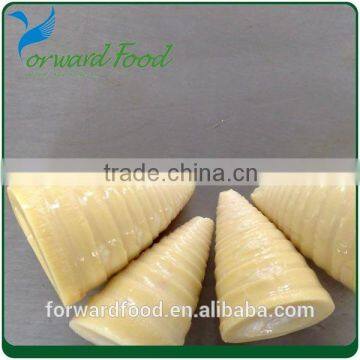 whole canned bamboo shoot in tin