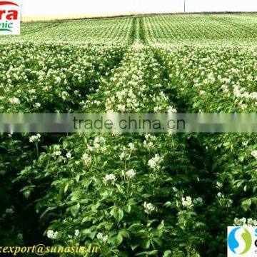 Deoiled Karanja Cake Price photo-2