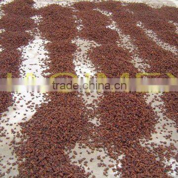 High Quality Vietnam Star Aniseeds Without Stems / Anise - Cheap Price! photo-6