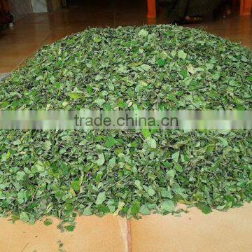 Moringa Leaves