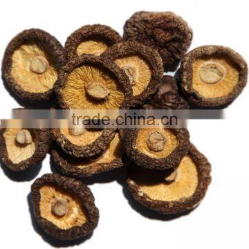 dried mushroom,dried smooth mushroom,dried brown smooth mushroom