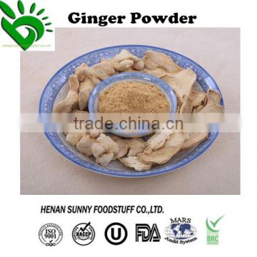 Ginger Extact Powder from Factory