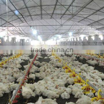 HOT SALE Poultry Ground Breeding System