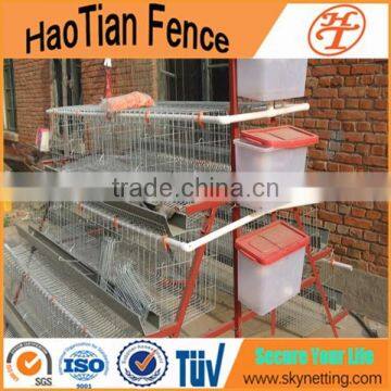 galvanized chicken egg layer cages design in south africa