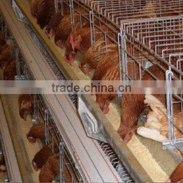 AGR Poultry Cage For Chicken